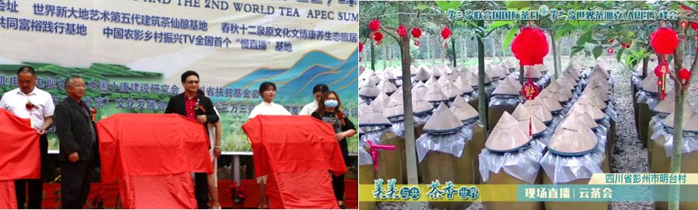 美美与共茶香世界 乡村振兴共同富裕 第三届联合国国际茶日暨第二届世界茶派克（APEC）峰会盛大召开