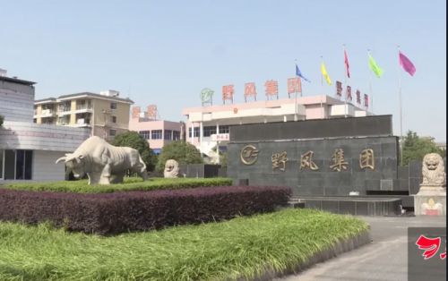 营收、净利连降 二闯A股野风药业三大问题待解