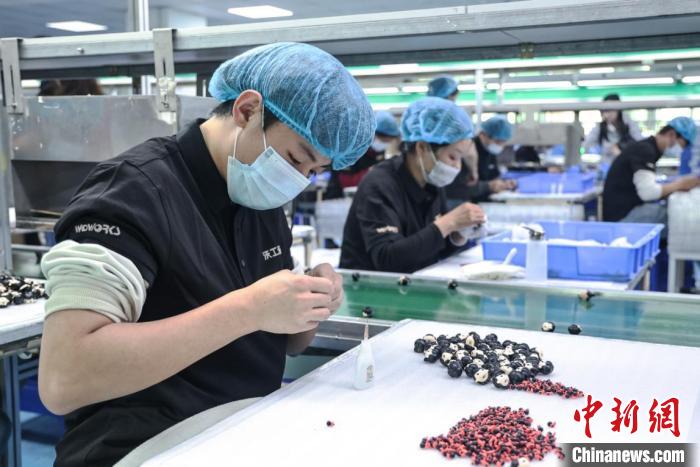 广东东莞“哪吒”旋风背后：“世界工厂”迈向进阶之路