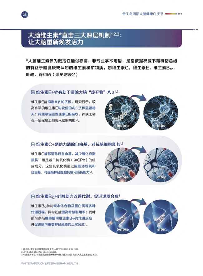 《全生命周期大脑健康白皮书》发布会圆满举办，专家呼吁从20岁起科学护脑