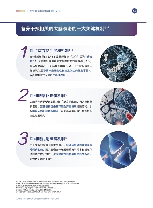 《全生命周期大脑健康白皮书》发布会圆满举办，专家呼吁从20岁起科学护脑