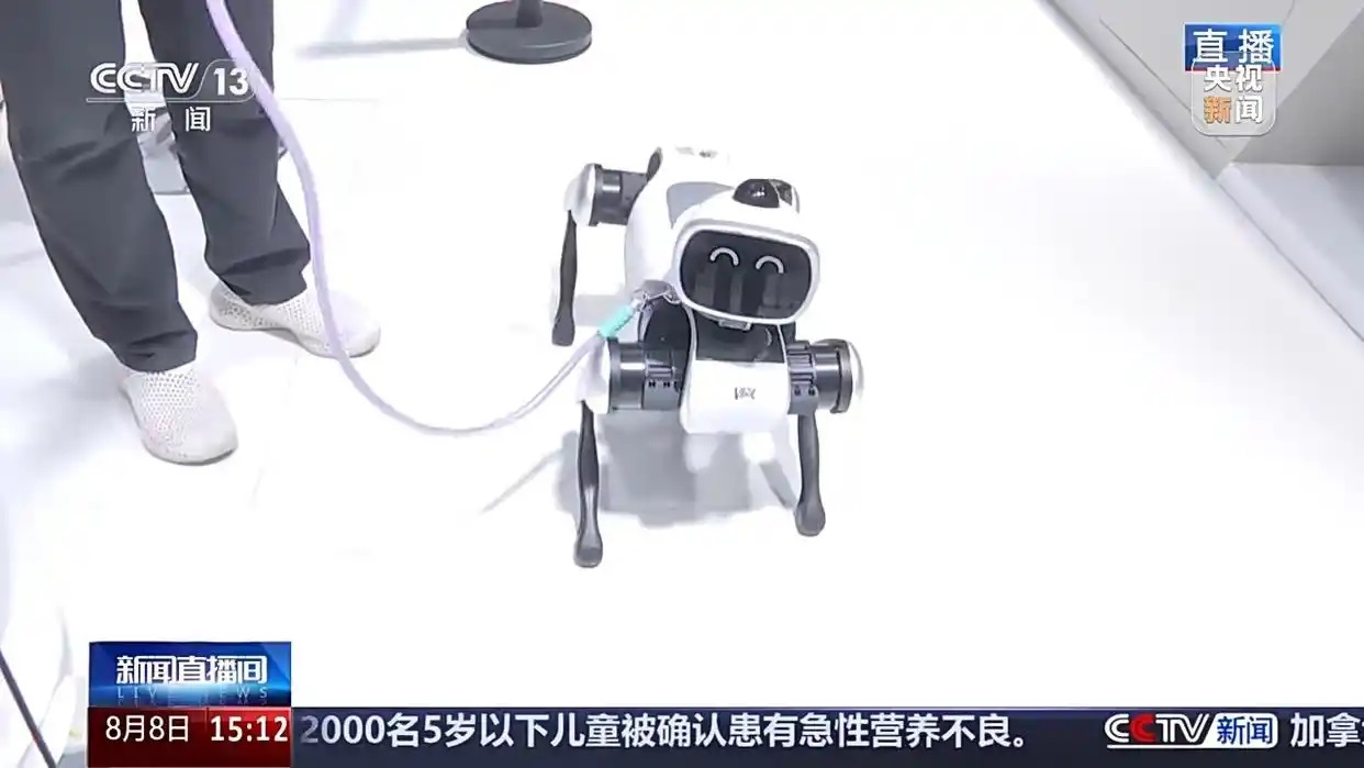 能跳舞、会家务、可赛博遛狗……2025世界机器人大会百余件新品首发