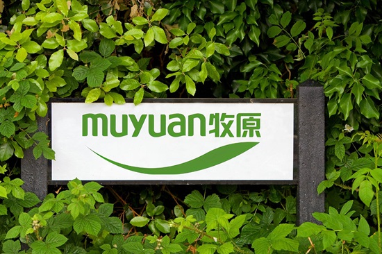 扭亏为盈 生猪养殖龙头牧原股份如何解决高负债