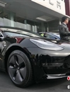 特斯拉加速入华，会成新能源车市场“鲶鱼”吗？