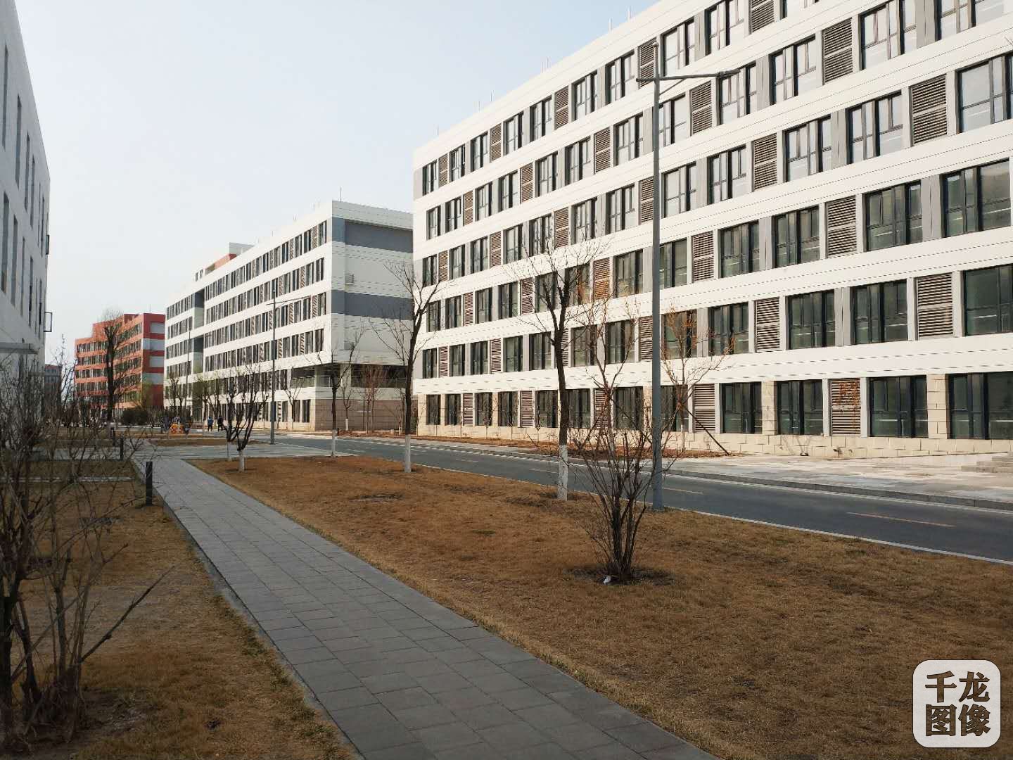 中国企业报道 要闻 商业资讯 正文内容  (记者 陈晨) 天津天狮学院