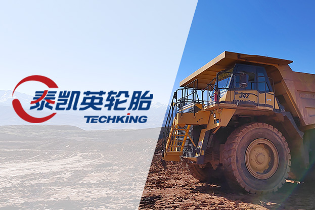 上市后首份成绩单亮相 泰凯英去年营收净利双增