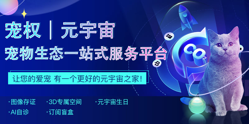 宠权创世藏品NFR：每个人都能简便地创作、收藏宠物数字艺术品