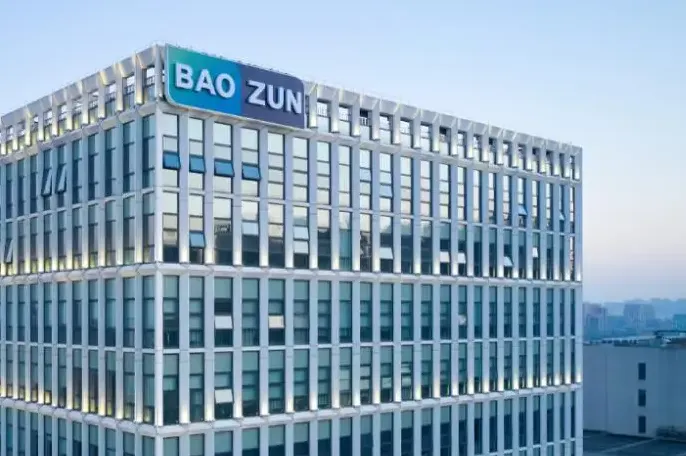 宝尊电商绩不配位:五个季度连亏 业务升级不及时