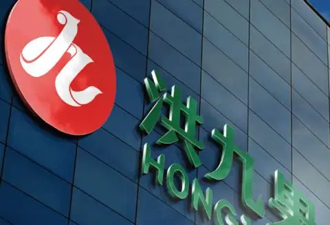 洪九果品销售成本居高不下 毛利率连续三年下降