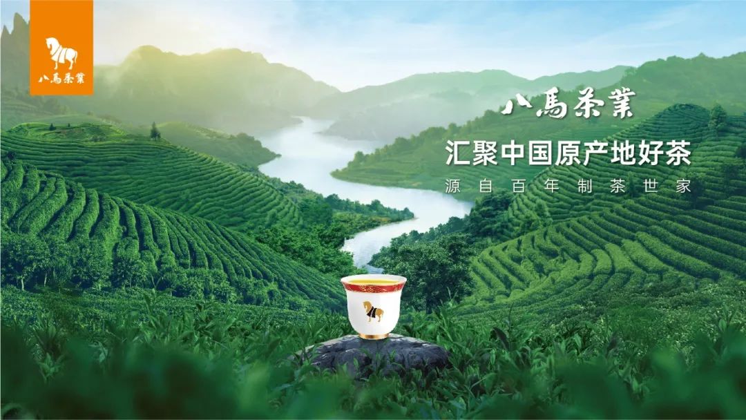 上市路波折 关联迷雾重重 八马茶业遭证监会46问