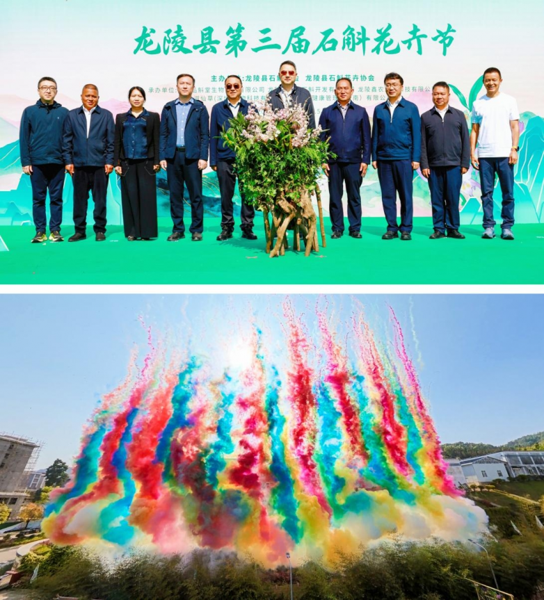 滋仙草|赴花约！龙陵县第三届石斛花卉节盛大启幕！