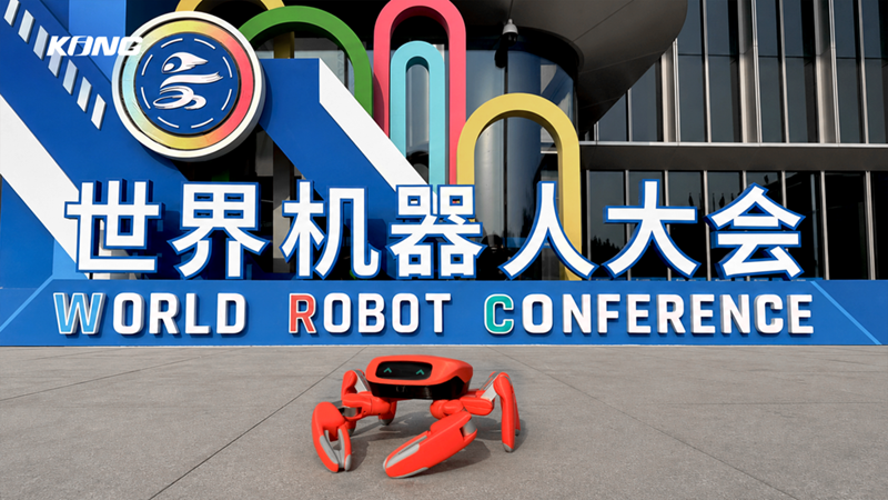 金钢科技螃蟹机器人成WRC“最强显眼包”，央视探展、何同学体验