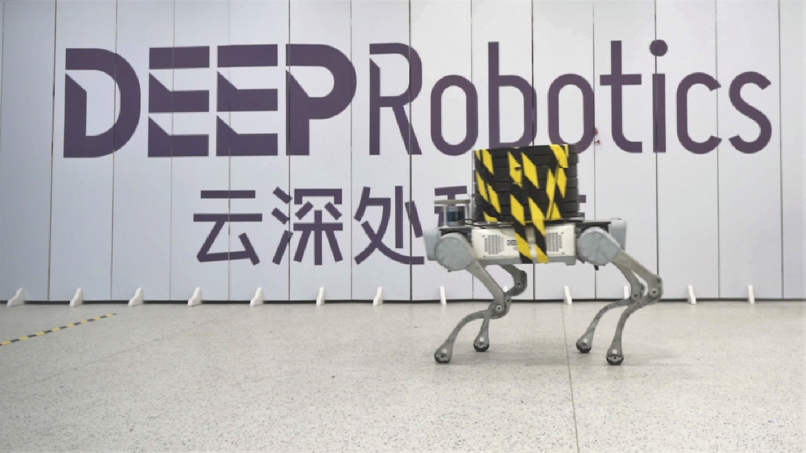 机器人市场分化加剧 云深处科技领跑应用赛道