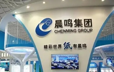 上市24年首次亏损 晨鸣纸业不能只甩锅高成本