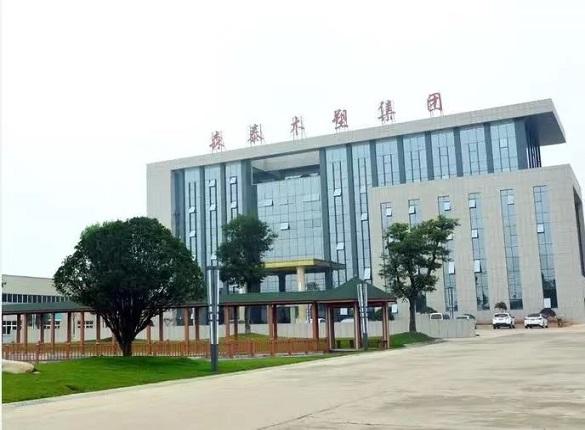 从租赁到自建 森泰股份“出海”的成本账
