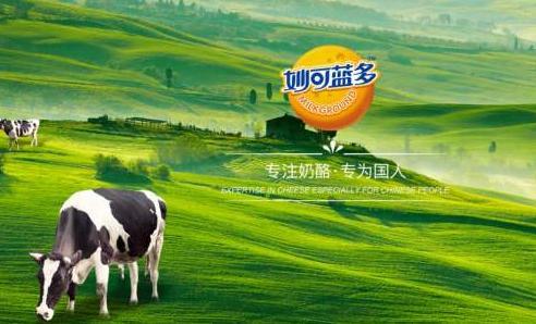 “会议纪要门”冲击股价暴跌 谁动了妙可蓝多的奶酪？