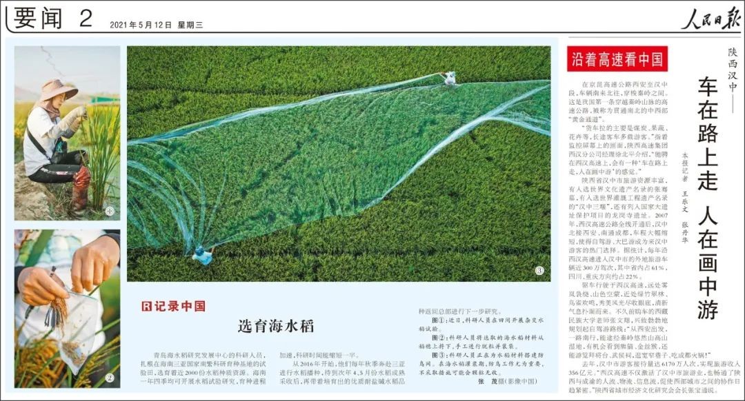 海水稻种福田秉承拓荒人精神，推动产业发展再提速!