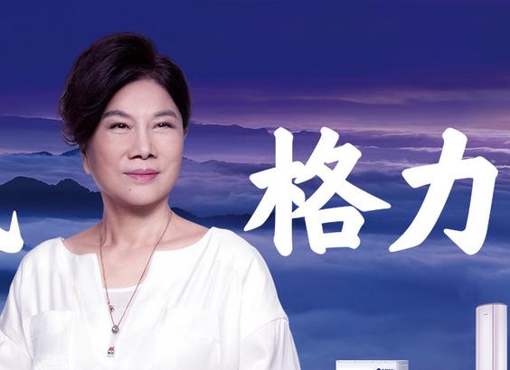 注销回购股份、退休后行权、高瓴关系 董明珠“灭火”回答一切