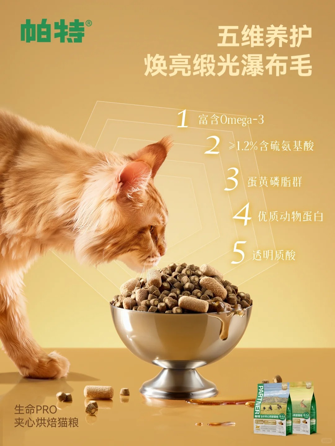 图片 2.jpg