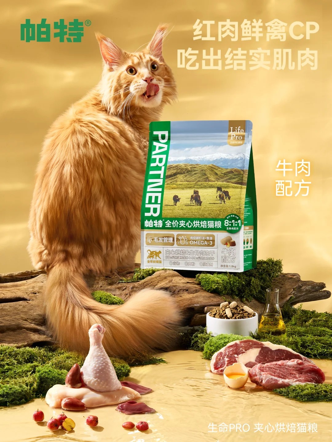 图片 6.jpg