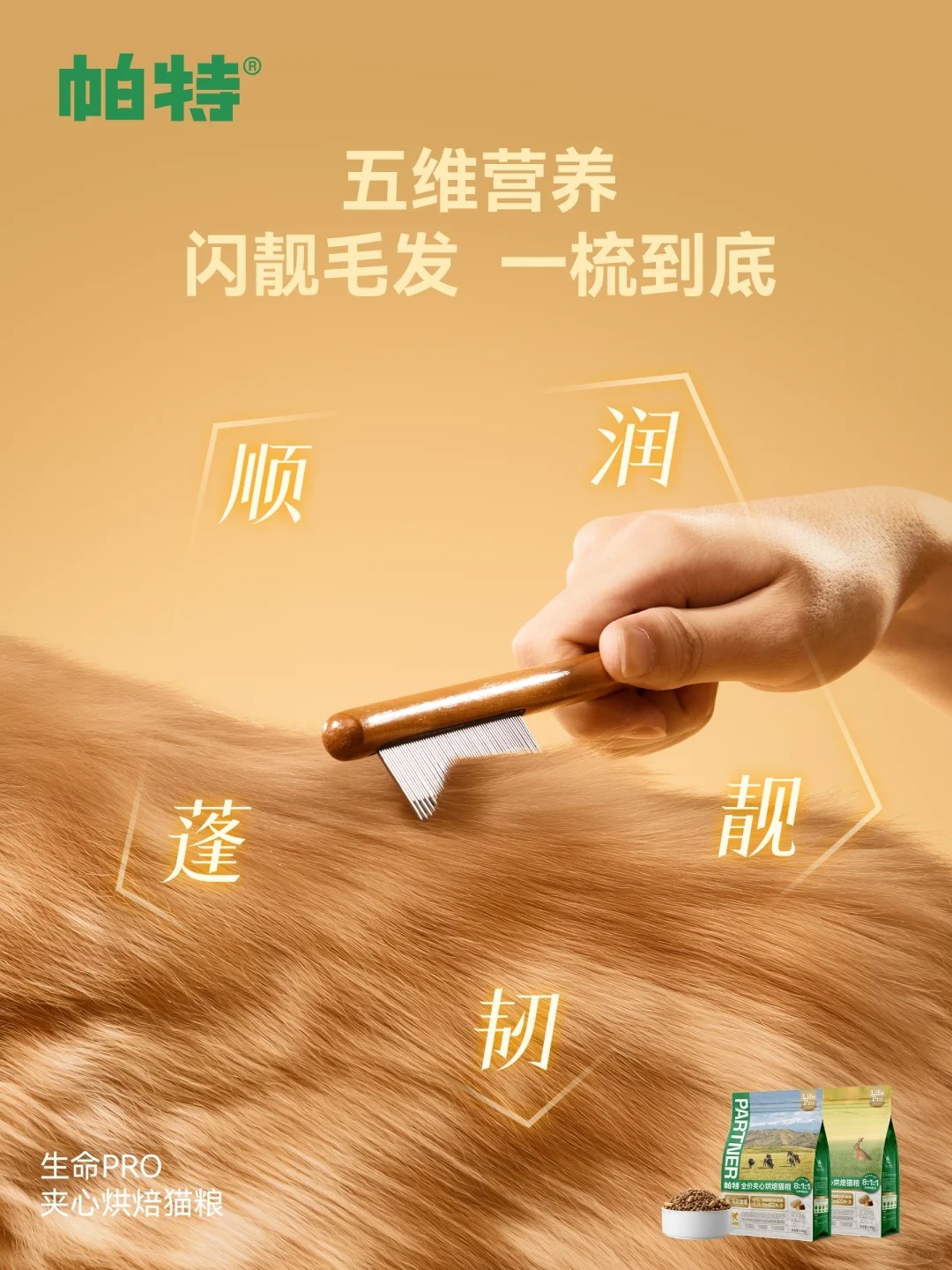 图片 3.jpg