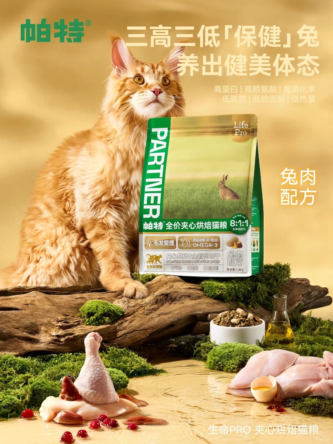 图片 5.jpg