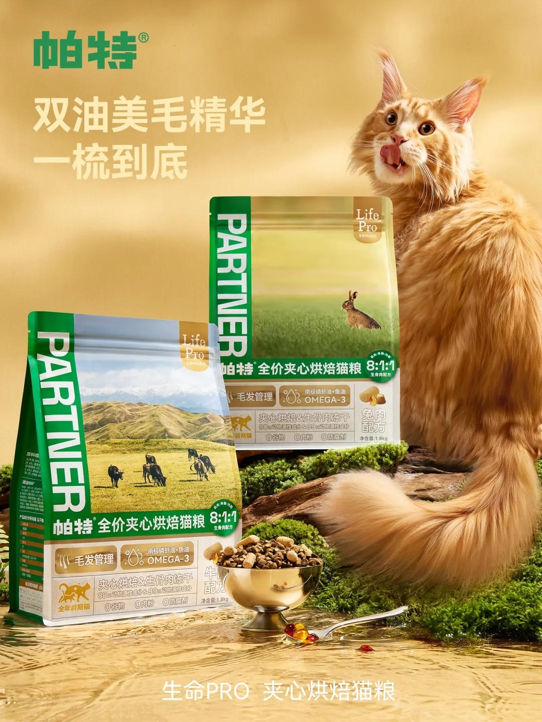 图片 1.jpg