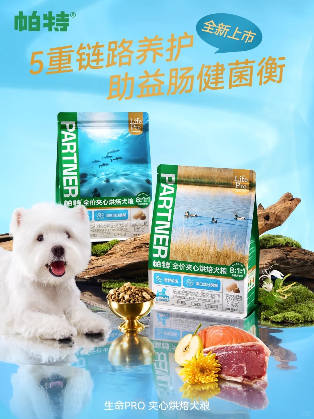 图片 7.jpg