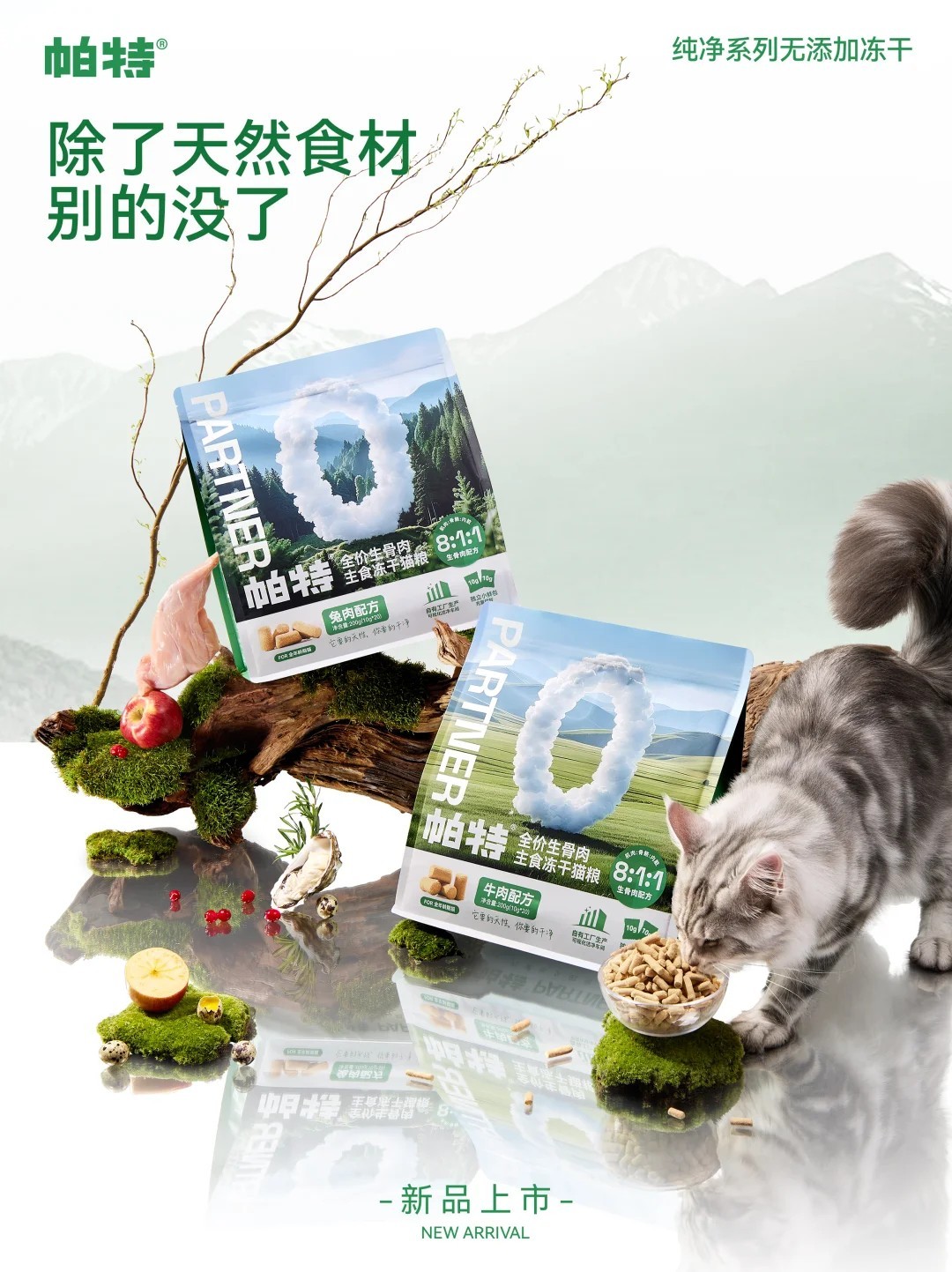 图片 13.jpg