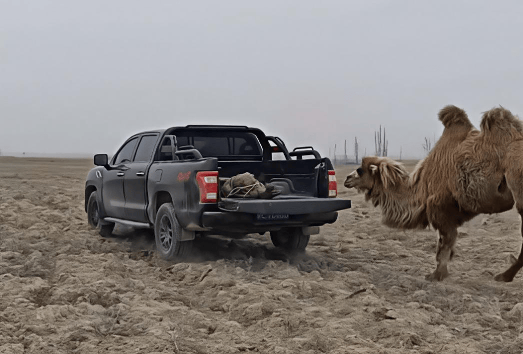 农资运输皮卡选车攻略｜福田火星7征服烂路 硬核护航农资配送